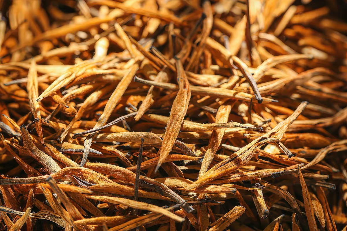 Historic tea leaves in warm light